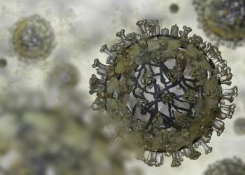 Flu Virus