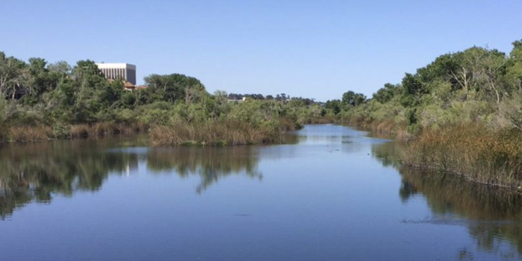 San Diego River Park