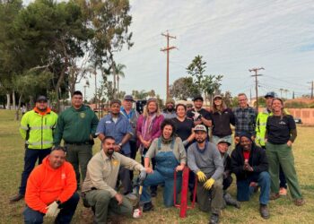 Comunidad de Chula Vista comprometidos con el medio ambiente plantan 100 árboles nuevos en la ciudad