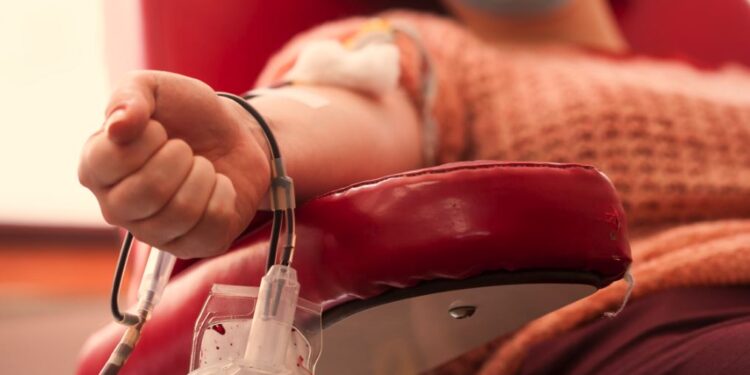 donación de sangre