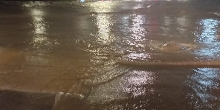 Lluvias dejan un saldo de 40 reportes en Tijuana