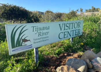 Estudiantes de ambos lados de la frontera exploran Estuario de Tijuana