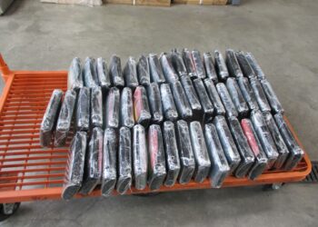 Incautan droga en la garita de San Ysidro