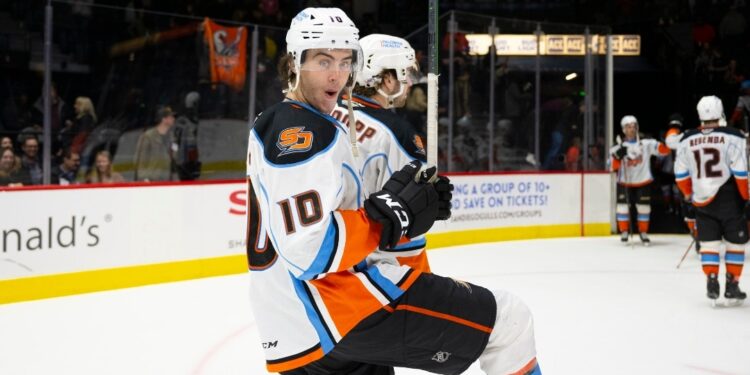 Josh Lopina festejando el triunfo de los Gulls ante la Barracuda.