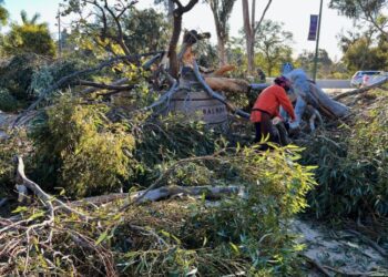 Anuncian cierre del Parque Balboa y otras áreas cercanas debido a fuertes vientos y árboles caídos