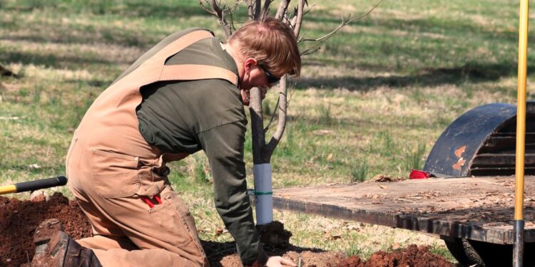 ¿Te dedicas al paisajismo o jardinería? Recibe asesoría y financiamiento gratuito