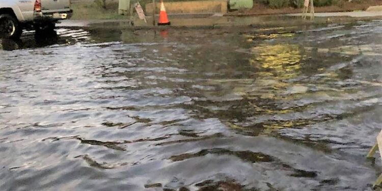 King Tides dejan calles inundadas en San Diego