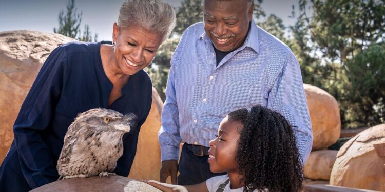 Adultos mayores podrán ingresar gratis al San Diego Zoo Safari Park en febrero