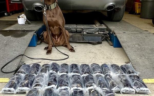 Detienen a tijuanense con droga