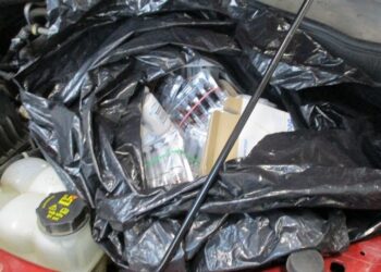 Un viajero en el puerto de entrada de San Ysidro recibe multa de más de $22 mil dólares por no declarar medicamentos