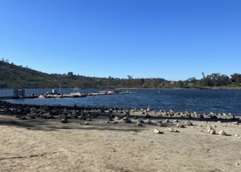Lago Murray cesa pesca hasta marzo