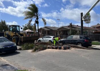 Árboles caídos y apagones de electricidad por los fuertes vientos en la región
