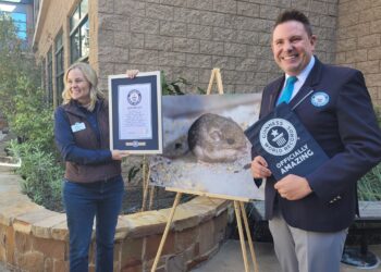 El San Diego Zoo Wildlife Alliance fue reconocido por World Record Guinness por tener al ratón de bolsillo más viejo del mundo
