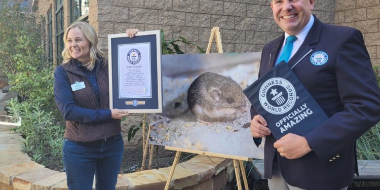 El San Diego Zoo Wildlife Alliance fue reconocido por World Record Guinness por tener al ratón de bolsillo más viejo del mundo