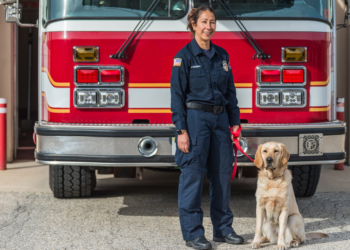 El Departamento de Bomberos de Chula Vista cuenta con una nueva integrante canina