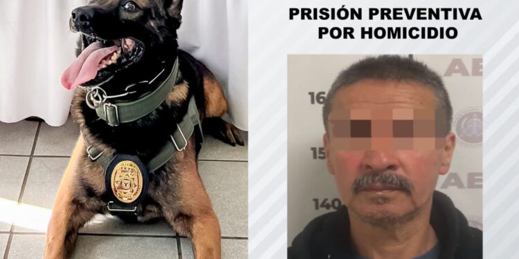 Asesino de policía enfrentará cargos de crueldad animal por boris