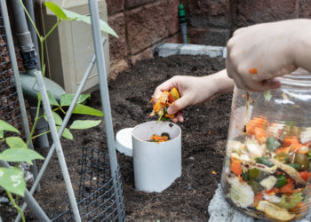 La Ciudad de Chula Vista invita a vecinos a aprender todo sobre composta y reciclaje