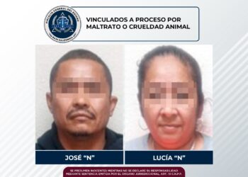 Crueldad animal en Tijuana