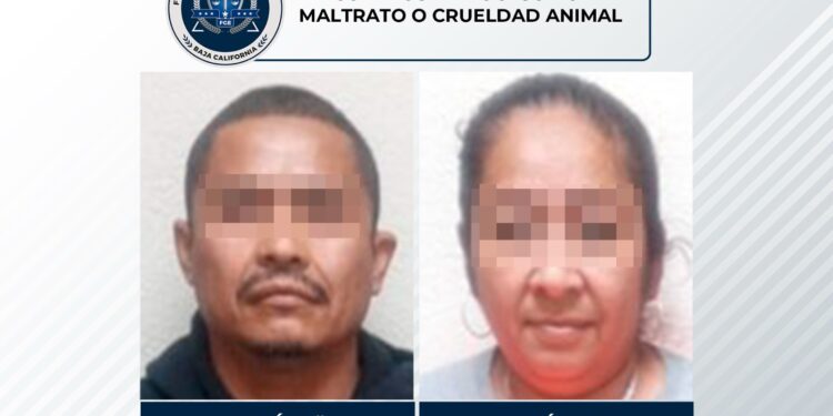 Crueldad animal en Tijuana