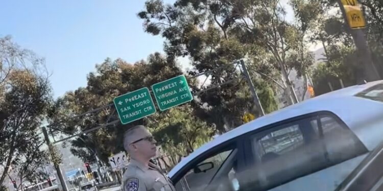Policía detiene a gaviota en San Ysidro
