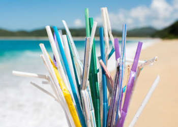 Asiste al seminario web “Di no al plástico de un solo uso”