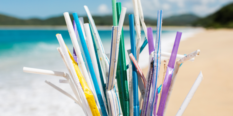 Asiste al seminario web “Di no al plástico de un solo uso”