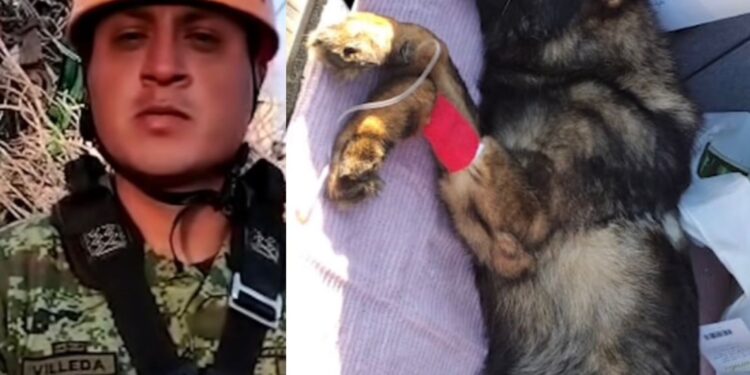 Ultimas palabras de entrenador a Proteo