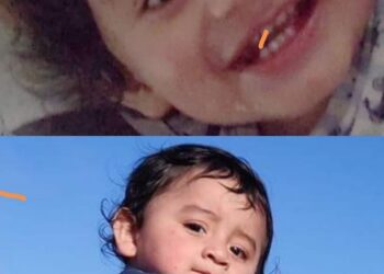 Alerta Amber por Renso Ceresero