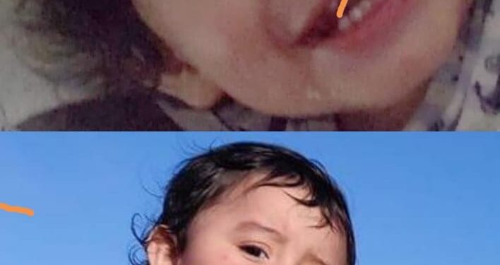 Alerta Amber por Renso Ceresero