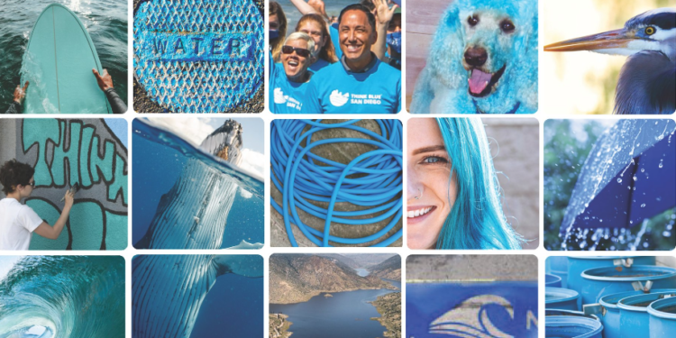 Think Blue San Diego te invita a participar en las múltiples actividades para mantener nuestras aguas limpias