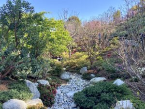 Jardín japonés balboa park