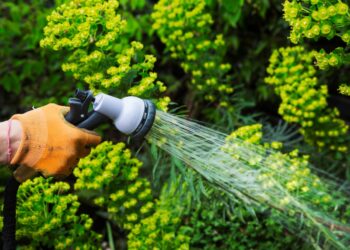 Ante el pronóstico del clima, la Ciudad de San Diego prohíbe el riego de jardines durante y después de 48 horas posteriores a las lluvias