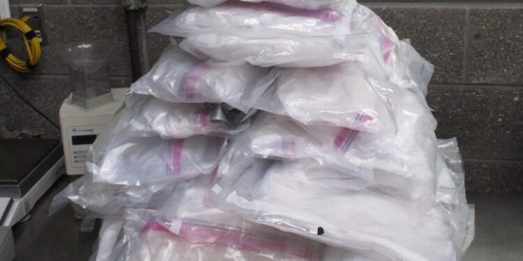 Realizan ocho incautaciones grandes en un sólo día en los puertos de entrada de San Ysidro, Otay y Tecate