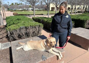 La primera latina graduada del programa de perros para incendios provocados está en Chula Vista