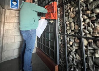 Clausuran clínica de belleza en Tijuana