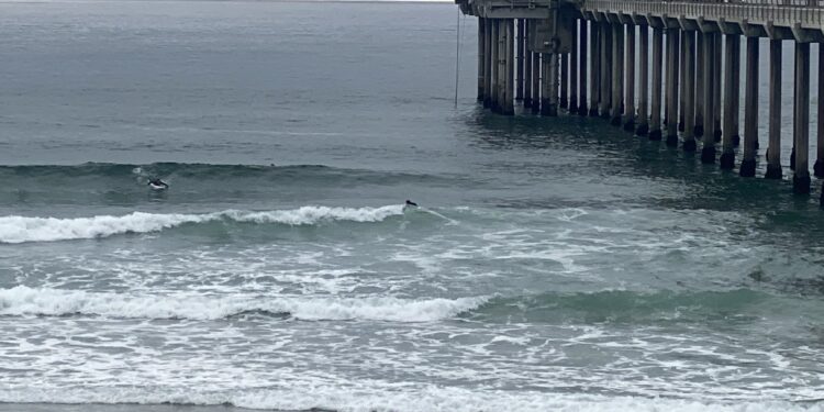 Consulado de México en San Diego trabaja en identificar a víctimas migrantes que fallecieron al intentar cruzar por las costas de San Diego