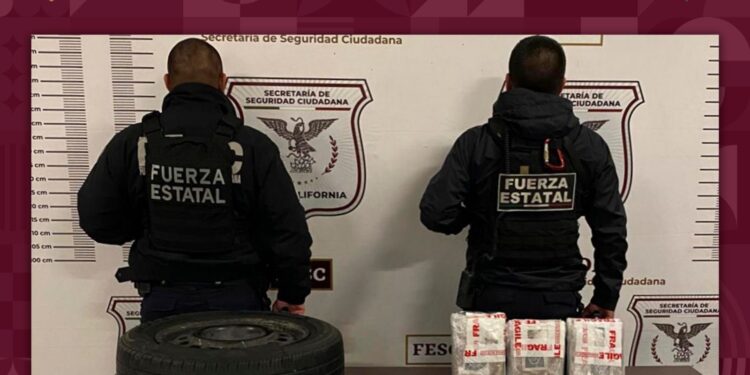 Frustran mula ciega en Tijuana