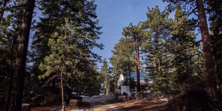 Trabajan para evitar incendios forestales en BC