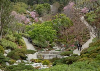 El Jardín Japonés de Balboa Park reabre al público