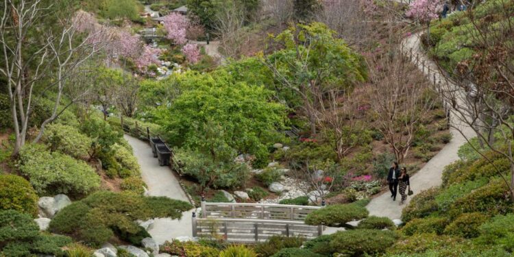 El Jardín Japonés de Balboa Park reabre al público