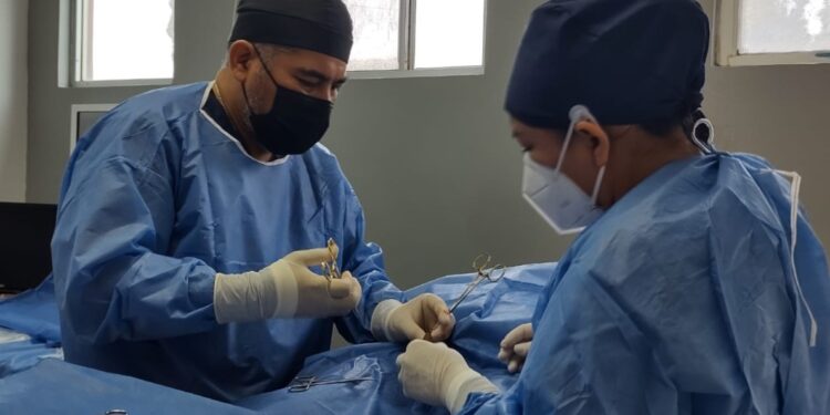 vasectomias