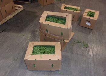 Cargo concealment