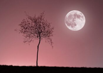 ¿Qué es y cómo observar la luna rosa de abril?