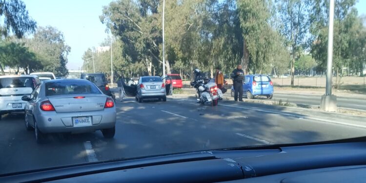 Piden fotografiar a gaviotas en líneas de San Ysidro y Otay