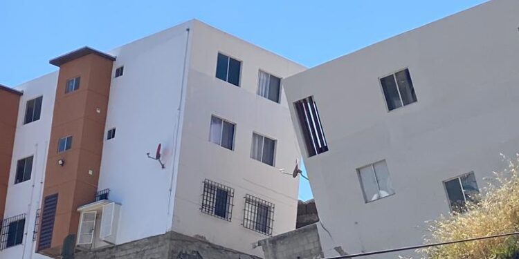 Buscarán animalitos en La Sierra