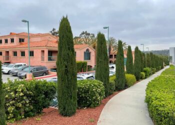 divino plastic surgic