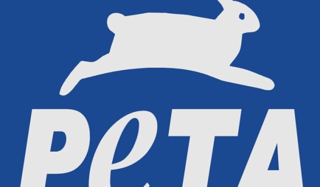 Ofrecen recompensa por dar con paradero de quien abandonó un perro desnutrido