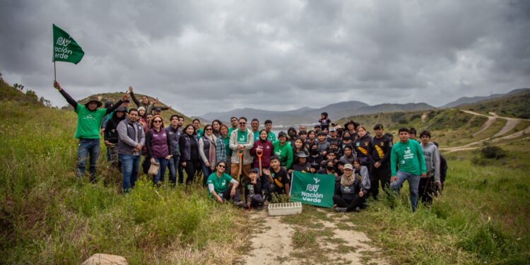Reforestan la presa