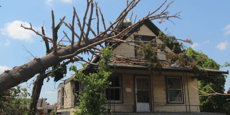 Propietarios de viviendas rurales afectados por tormentas podrán recibir un apoyo económico