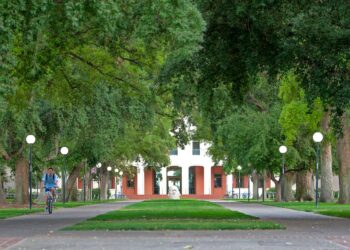 UC Davis